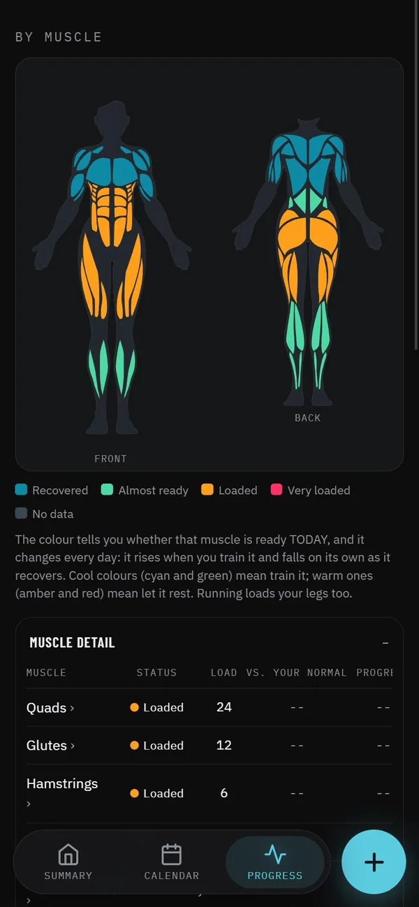 The muscle map in Maipo, with each muscle's recovery status.